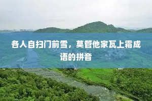 各人自扫门前雪，莫管他家瓦上霜成语的拼音