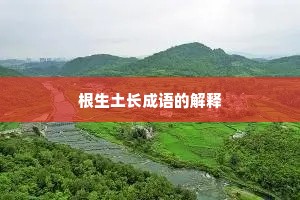 根生土长成语的解释