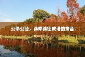 公修公德，婆修婆德成语的拼音