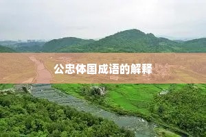 公忠体国成语的解释