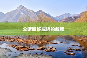 公诸同好成语的解释