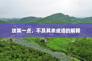 攻其一点，不及其余成语的解释