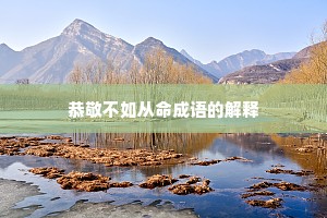 恭敬不如从命成语的解释