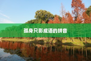 孤身只影成语的拼音