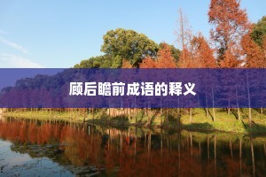 顾后瞻前成语的释义