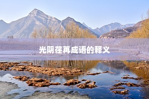 光阴荏苒成语的释义