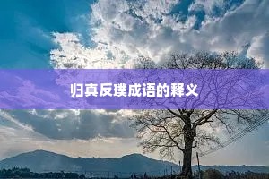 归真反璞成语的释义
