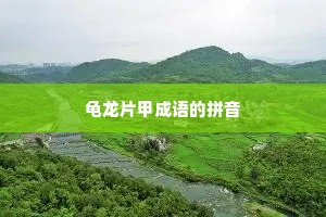 龟龙片甲成语的拼音