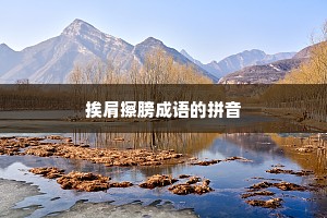 挨肩擦膀成语的拼音