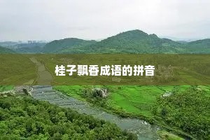 桂子飘香成语的拼音