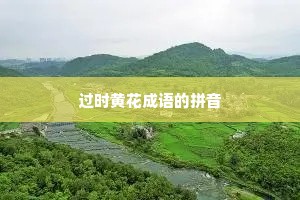 过时黄花成语的拼音