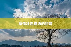 豪情壮志成语的拼音