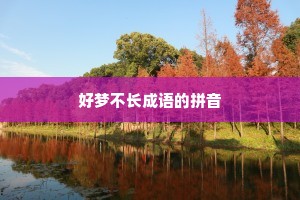 好梦不长成语的拼音