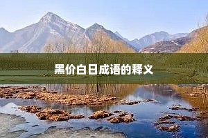 黑价白日成语的释义