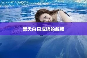 黑天白日成语的解释