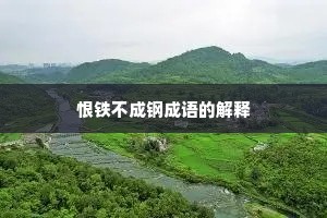 恨铁不成钢成语的解释