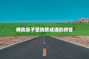 横挑鼻子竖挑眼成语的拼音