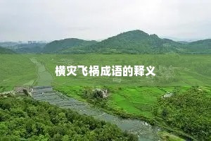 横灾飞祸成语的释义