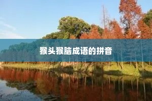 猴头猴脑成语的拼音