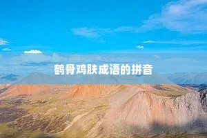 鹤骨鸡肤成语的拼音