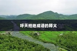 呼天抢地成语的释义