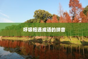 呼吸相通成语的拼音