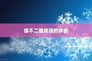 狐不二雄成语的拼音