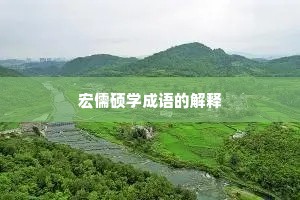 宏儒硕学成语的解释