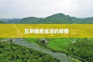 互剥痛疮成语的解释