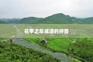 花甲之年成语的拼音
