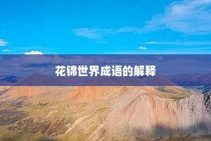 花锦世界成语的解释