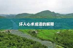 坏人心术成语的解释