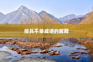 按兵不举成语的解释