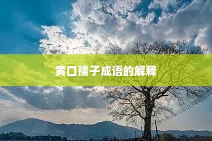 黄口孺子成语的解释