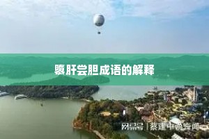 隳肝尝胆成语的解释