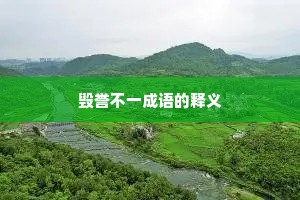 毁誉不一成语的释义
