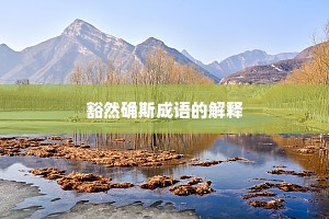 豁然确斯成语的解释
