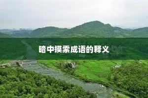 暗中摸索成语的释义