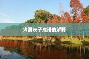 火妻灰子成语的解释