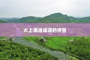 火上添油成语的拼音