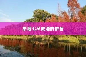 昂藏七尺成语的拼音