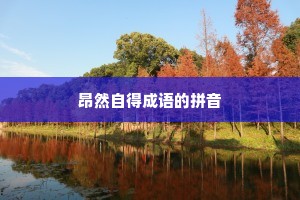 昂然自得成语的拼音