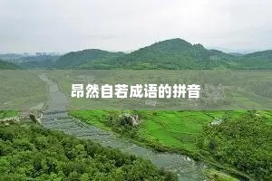 昂然自若成语的拼音
