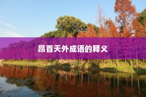 昂首天外成语的释义