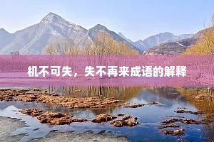 机不可失，失不再来成语的解释
