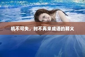 机不可失，时不再来成语的释义