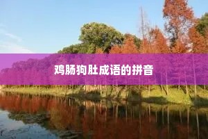 鸡肠狗肚成语的拼音