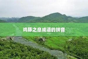 鸡豚之息成语的拼音