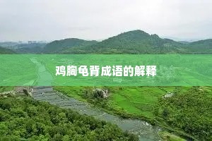 鸡胸龟背成语的解释