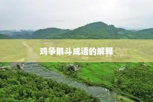 鸡争鹅斗成语的解释